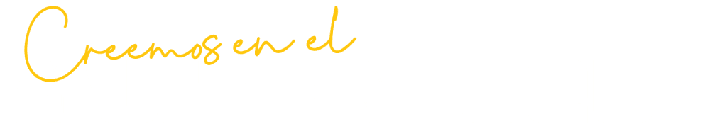 Multienfoque - Metodología de investigación